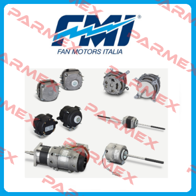 FMI Fan Motors Italia Srl