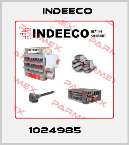1024985       Indeeco