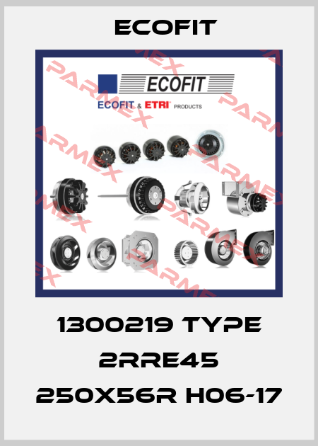 1300219 Type 2RRE45 250x56R H06-17 Ecofit