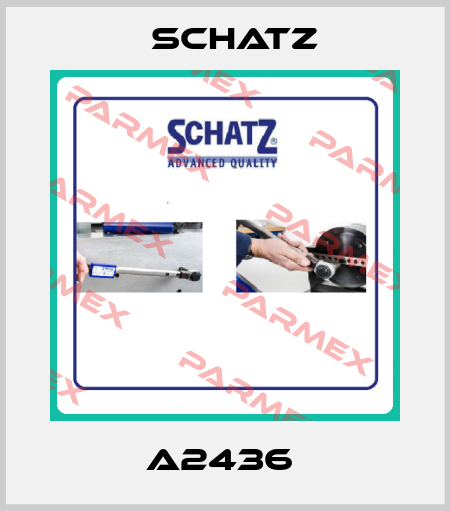A2436  Schatz
