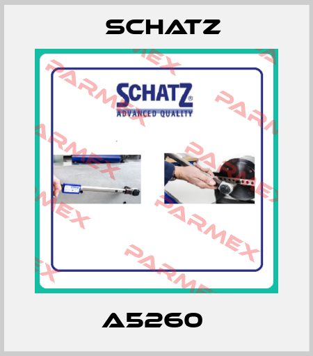 A5260  Schatz