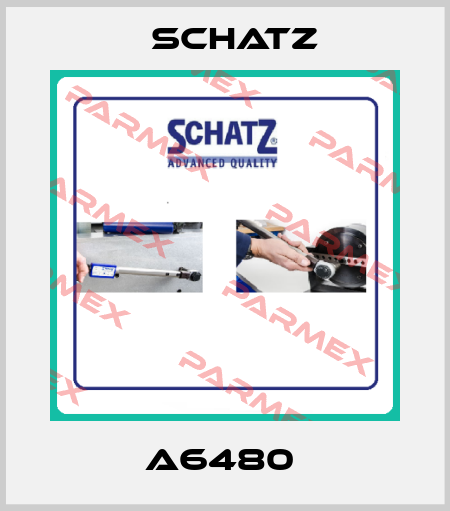 A6480  Schatz