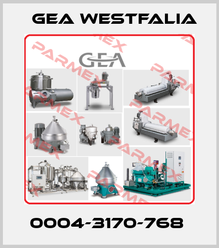 0004-3170-768  Gea Westfalia