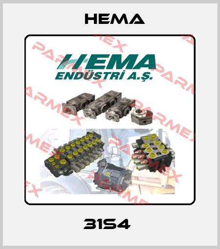 31S4  Hema