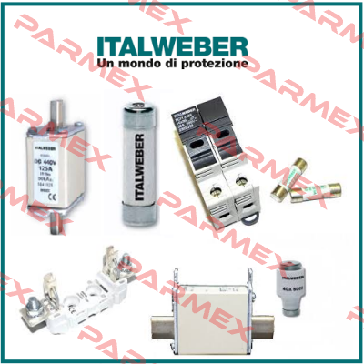 0100250 (pack x10) Italweber