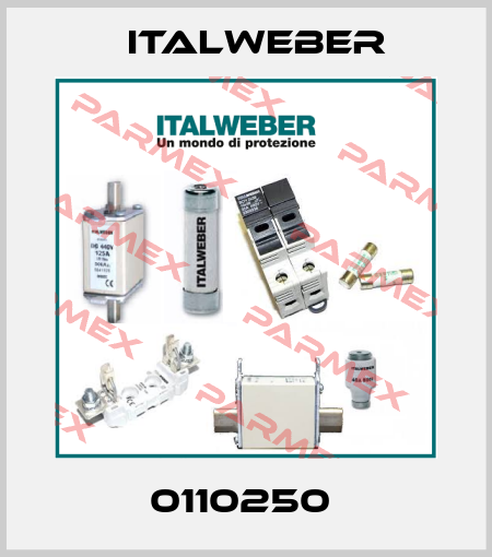 0110250  Italweber