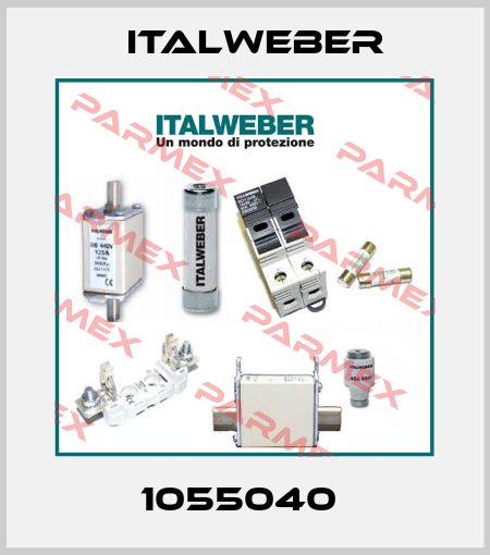1055040  Italweber