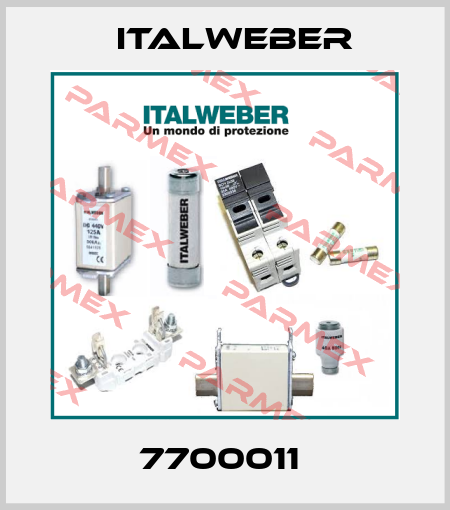 7700011  Italweber
