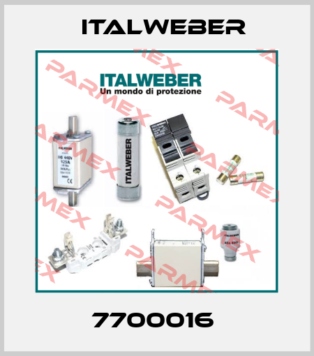7700016  Italweber