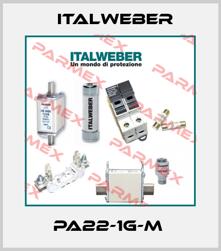 PA22-1G-M  Italweber
