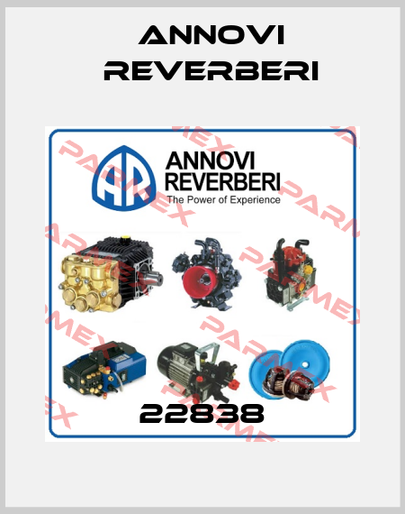 22838 Annovi Reverberi
