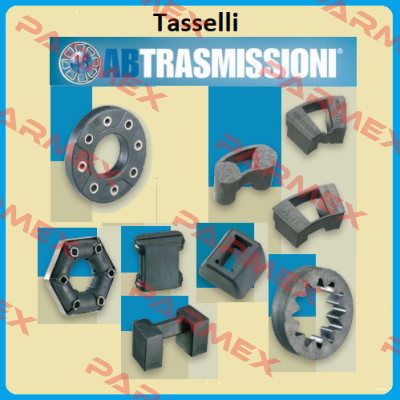 4080011 Tasselli