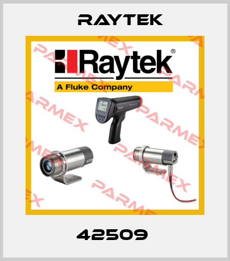 42509  Raytek