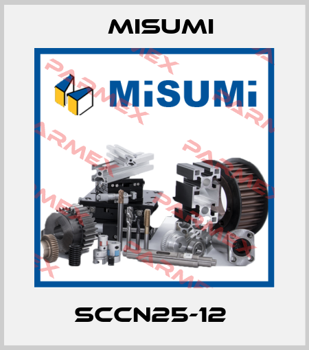 SCCN25-12  Misumi