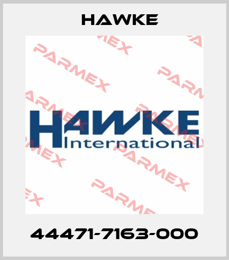 44471-7163-000 Hawke