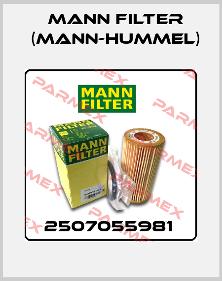 2507055981  Mann Filter (Mann-Hummel)