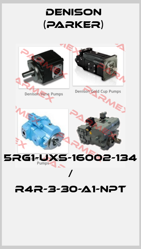 5RG1-UXS-16002-134 / R4R-3-30-A1-NPT  Denison (Parker)