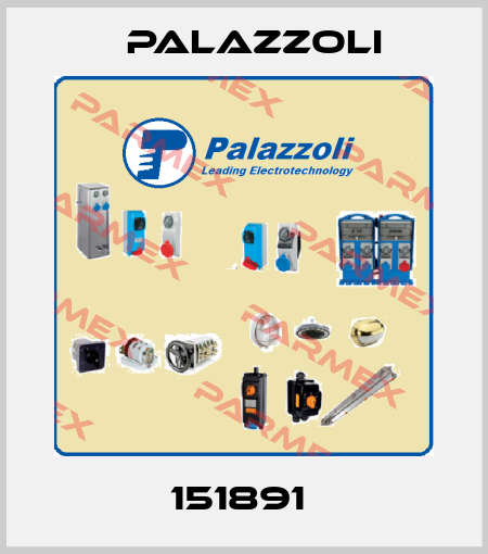 151891  Palazzoli
