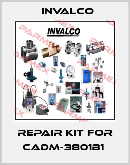 Repair kit for CADM-3801B1  Invalco