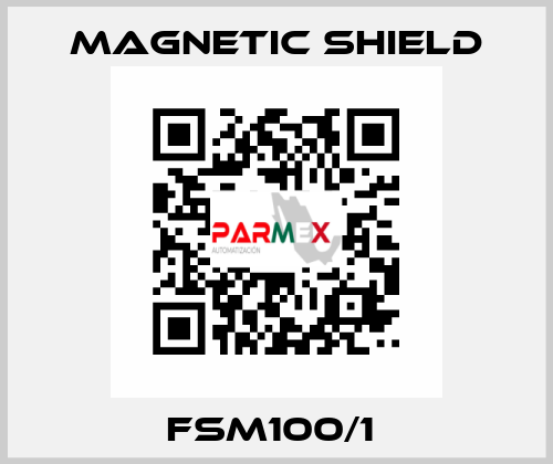 FSM100/1  Magnetic Shield