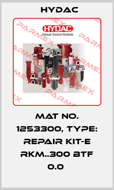 Mat No. 1253300, Type: REPAIR KIT-E RKM..300 BTF 0.0  Hydac