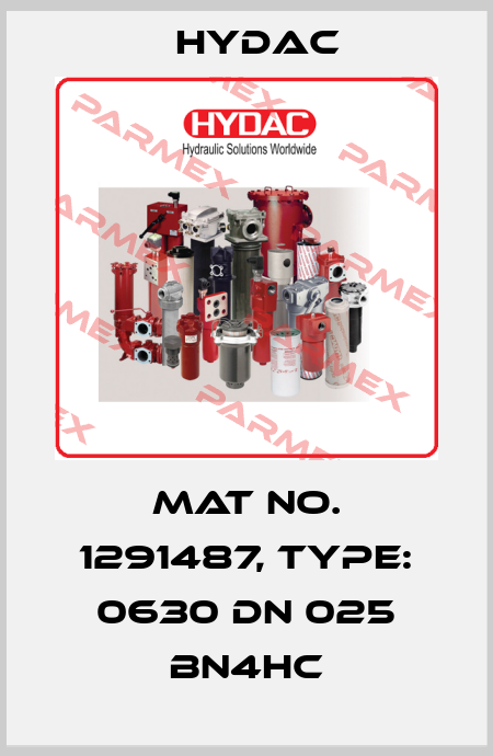 Mat No. 1291487, Type: 0630 DN 025 BN4HC Hydac