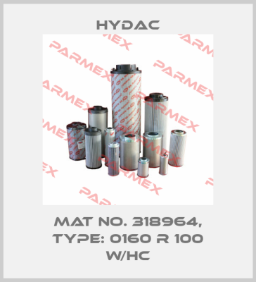 Mat No. 318964, Type: 0160 R 100 W/HC Hydac