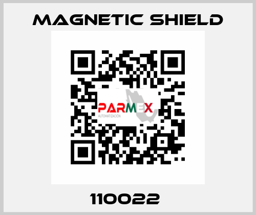 110022  Magnetic Shield