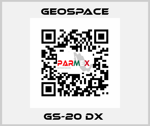 GS-20 DX  GeoSpace