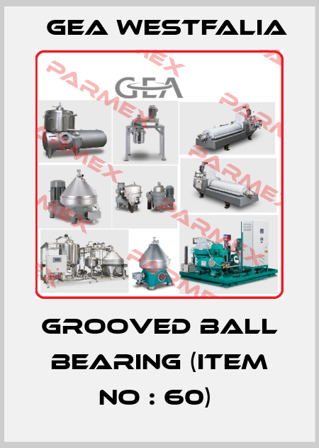 Grooved ball bearing (item no : 60)  Gea Westfalia