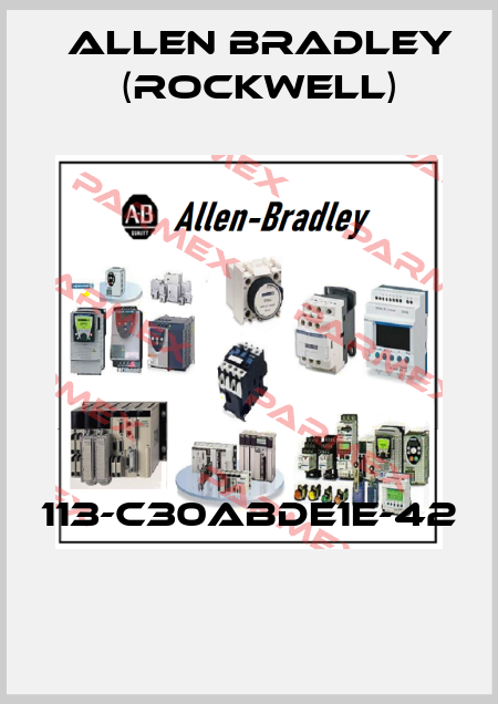 113-C30ABDE1E-42  Allen Bradley (Rockwell)