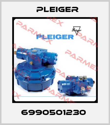 6990501230  Pleiger