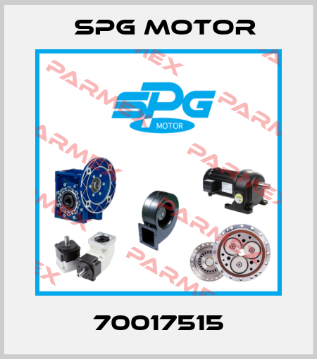 70017515 Spg Motor