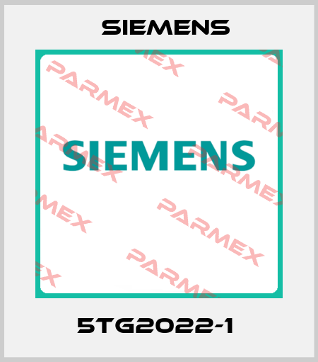 5TG2022-1  Siemens