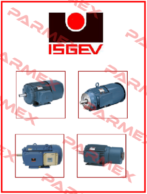 AFTS 100 LA4- cast iron  Isgev