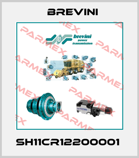 SH11CR12200001  Brevini