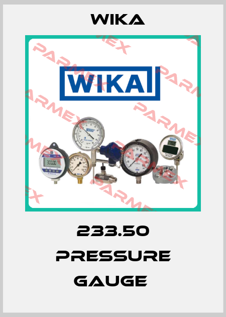 233.50 Pressure Gauge  Wika