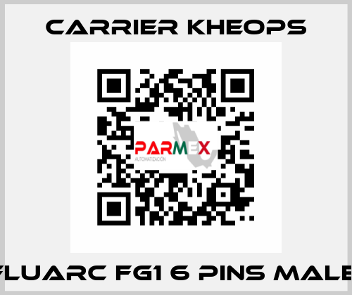  Fluarc FG1 6 Pins Male  Carrier Kheops