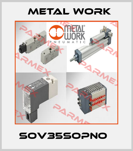 SOV35SOPNO   Metal Work