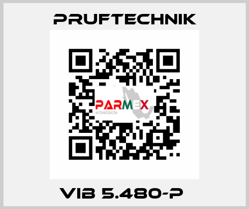 VIB 5.480-P  Pruftechnik