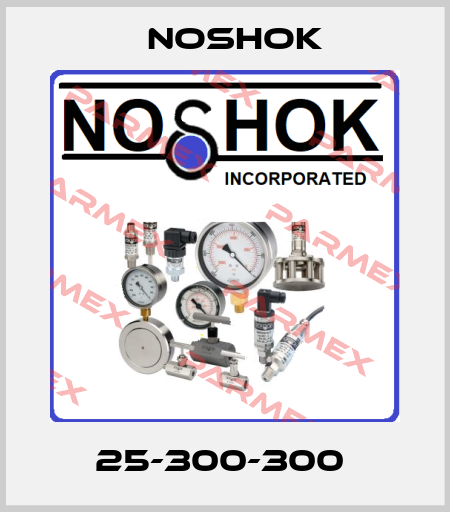 25-300-300  Noshok