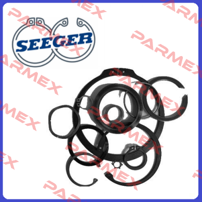 PS-010016-01  Seeger Orbis