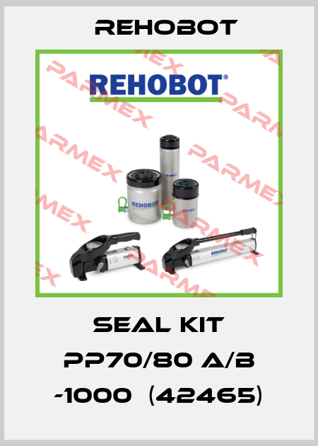 SEAL KIT PP70/80 A/B -1000  (42465) Rehobot