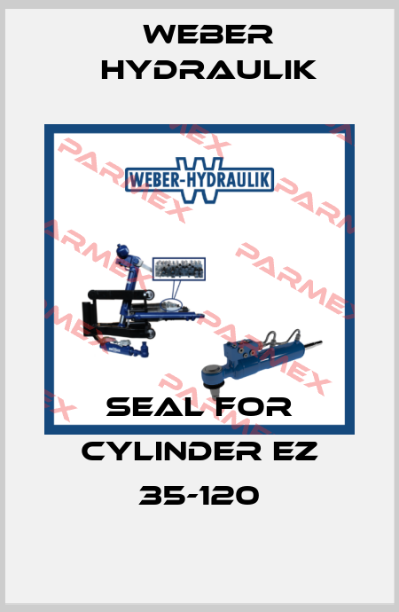 seal for cylinder EZ 35-120 Weber Hydraulik