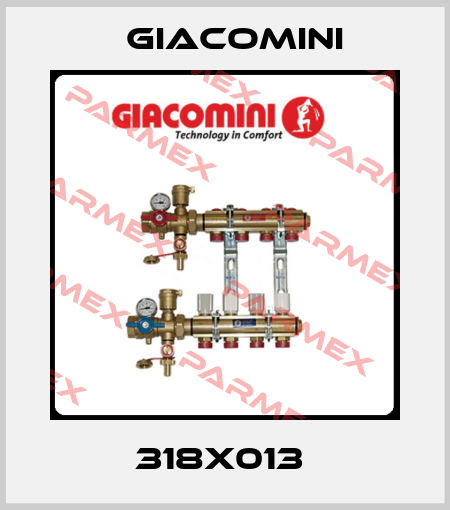 318X013  Giacomini