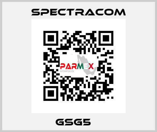 GSG5　  SPECTRACOM