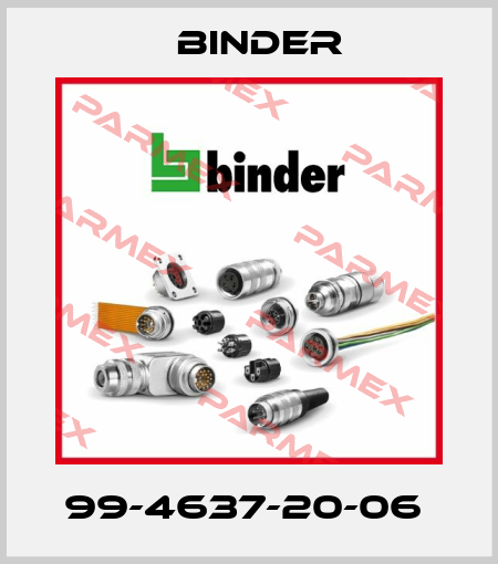 99-4637-20-06  Binder