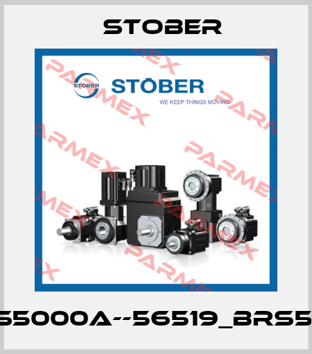 SDS5000A--56519_BRS5001 Stober
