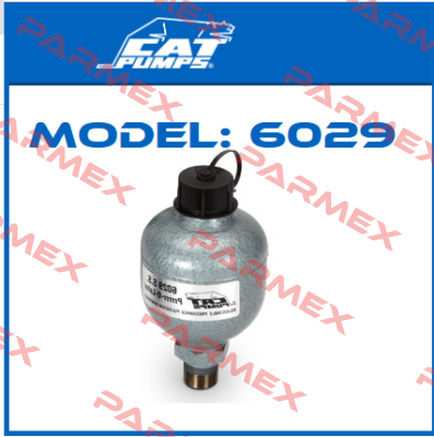 Model: 6029 Cat Pumps