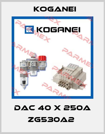 DAC 40 X 250A ZG530A2  Koganei